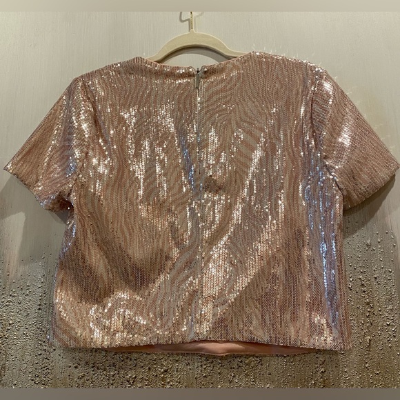 Michael Kors Sparkling Sequins Over Pink Zebra Print Sequin Crop Top - Size M - Picture 8 of 15